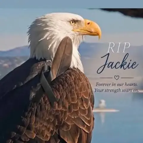Thank You, Jackie