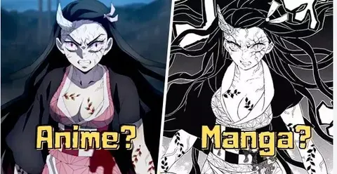 Anime vs. Manga: Key Differences and Which One is Better?