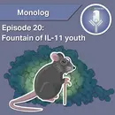Monolog 20 - The Fountain of IL-11 Youth