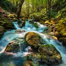 Watersheds & Fire