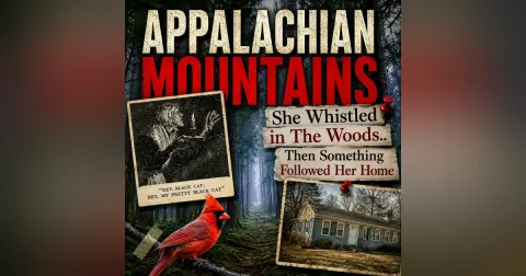 APPALACHIAN MOUNTAINS - She Whistled in The Woods.. Then Something Followed Her Home