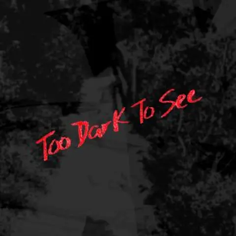 Too Dark To See
