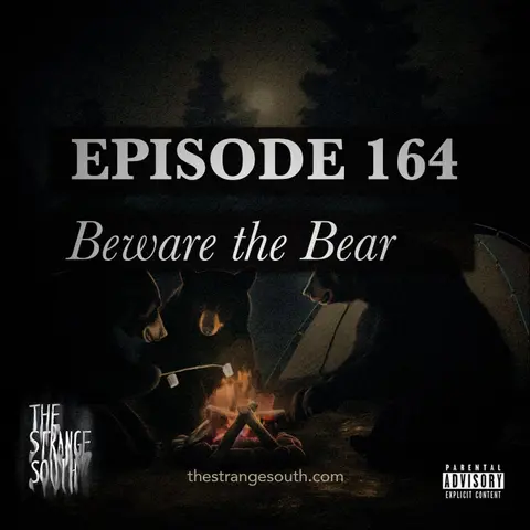 Episode 164: Beware the Bear