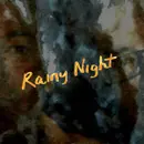 Rainy Night