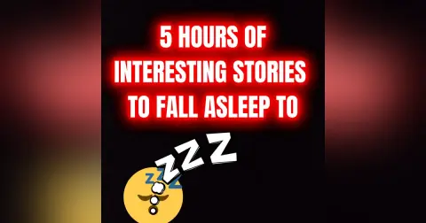 5 Hours Of Interesting Stories To Fall Asleep To