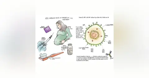 #7: Chronic Hepatitis B Part 1: 5 Pearls segment