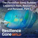 The Parrotfish Sleep Bubble: Lessons in Rest, Resilience, and Renewal, Part 1