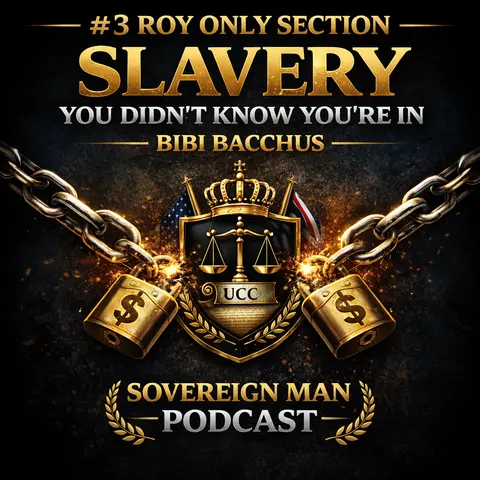 #3 (Roy Only Section) Slavery You Didn't Know That You Are In - Bibi Bacchus