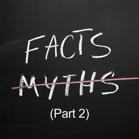 Top 10 Adoption Myths - Busted: Part 2