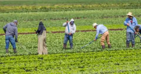 S4E2: Protecting Farm Workers' in the Heat of Climate Change with Jeannie Economos and Dominique O'Connor