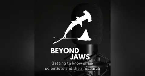 Exploring the Wild Journey of Joe Romeiro: A Shark Week Adventure