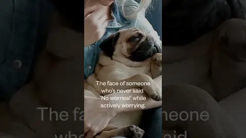 Your dog has never replayed a meeting at 11 p.m.