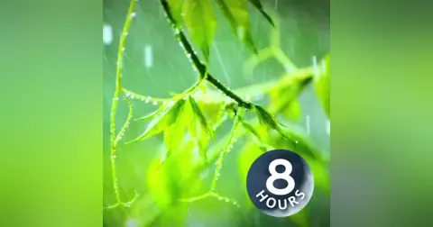 Rain Sounds for Sleep, Relaxation or Focus 8 hours