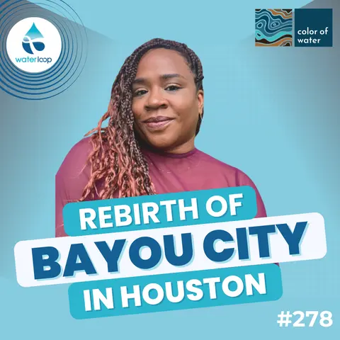 The Rebirth of Bayou City: Centering Water in Houston