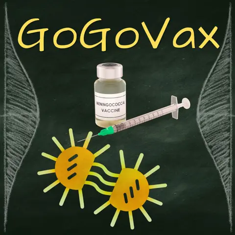 Double Duty: Can the meningitis vaccine also protect against gonorrhea?
