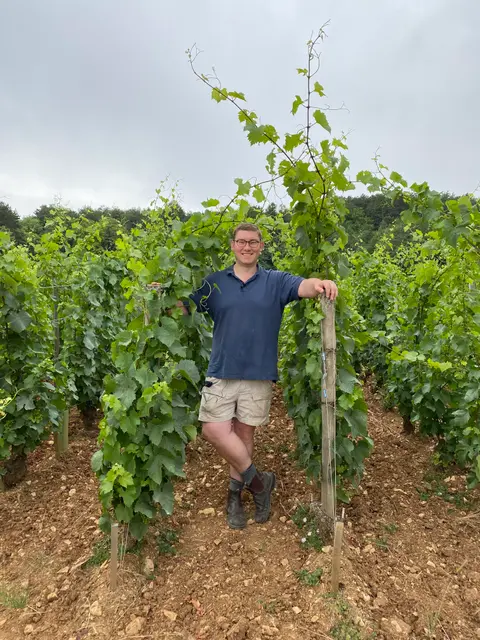 The Wine Critic Evolution w/ William Kelley, The Wine Advocate