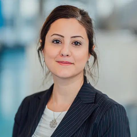 10,000 ways | Pooneh Maghoul: Working at the forefront of geotechnical engineering