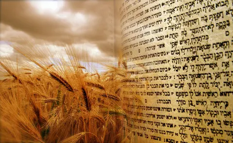 THE FEASTS OF ISRAEL