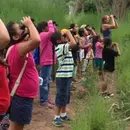 Valle Vista Bird Watchers