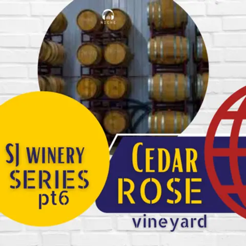 South Jersey Wineries pt6 🍇 Our Best Wines