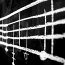 Harmonized Major Scales