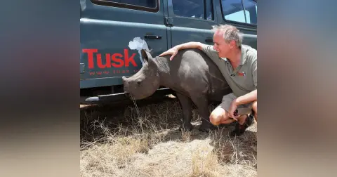 Charlie Mayhew: Conservation Wildlife and Travel