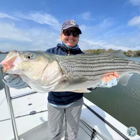 S6, Ep 55: On the Salt: David Blinken on Striper Tactics and Bluefish Battles