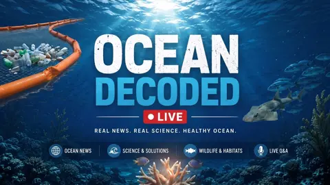 he Ocean Cleanup's Broken Promises, Ghana's Shark Science Pioneer, and the Fish Saving Coral