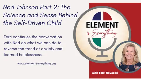 Ned Johnson Part 2: The Science and Sense Behind the Self-Driven Child