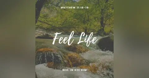 Feel Life
