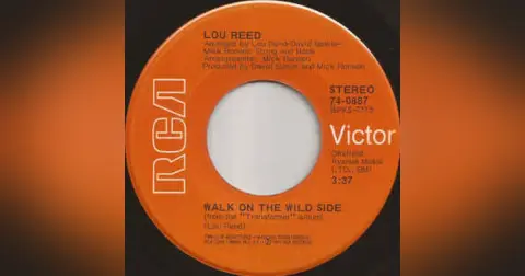 54–Walk on the Wild Side