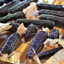 Ukraine in the Global Food System