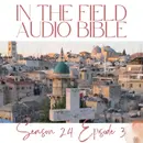 Threshing Floor Whispers: Ruth Seeks Redemption From Boaz