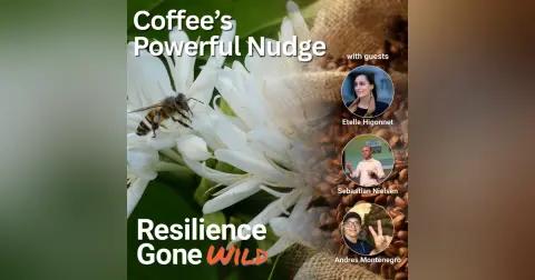 Coffee’s Powerful Nudge: Caffeine, Crisis, and the Regenerative Solution