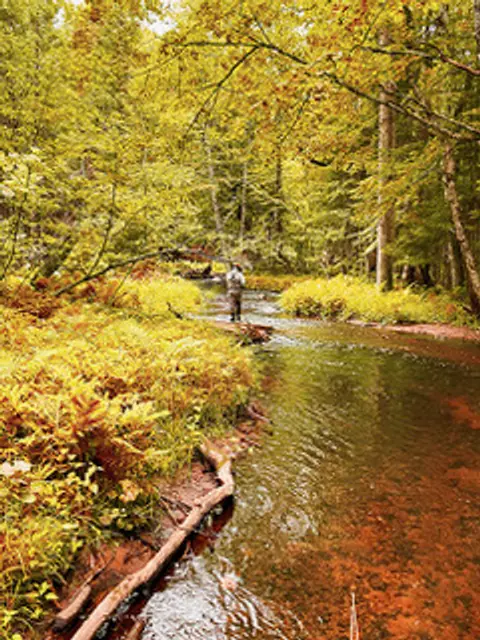 Bears, Browns, and Brookies on the Border Brule River with Bill Sherer