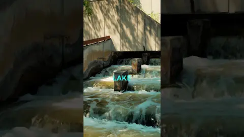 Restoring Sturgeon Habitat by Removing Grand River Dams