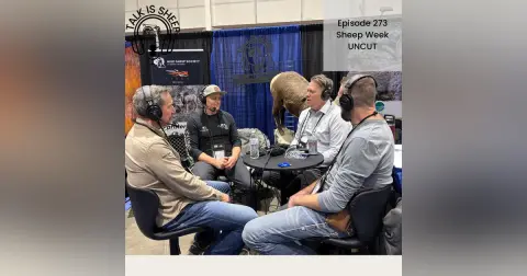 Sheep Show Uncut