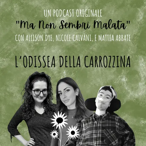 L’odissea della carrozzina
