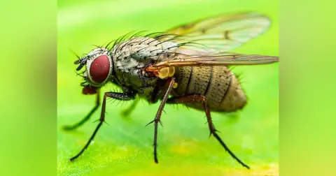 What Bugs God – Part II