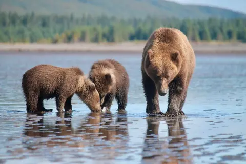 Episode 175: How Bedrock Environmental Laws Are Holding the Line in Alaska (For Now) with Cooper Freeman