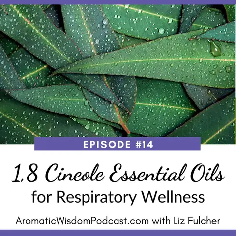 14: 1,8 Cineole Essential Oils for Respiratory Health