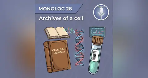 Monolog 28 - Archives of a cell