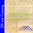 British Forces Gather in NY–July 29, 1776