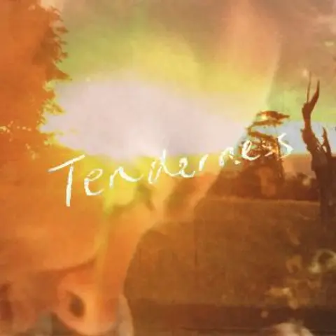 Tenderness