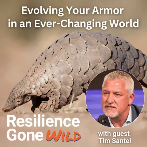 Evolving Your Armor in an Ever-Changing World: What Pangolins Teach Us About Updating Protection and Accepting Help