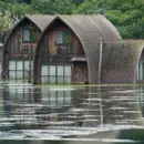 Chaos and Resilience: Surviving a Hurricane in Asheville, NC