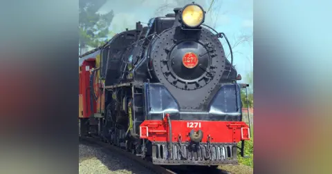 Trains