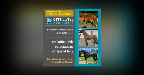 S2 E22: BONUS: Unlocked! OTTB on Tap Evaluates Vol. 4 — From Lightly Raced to Warhorses