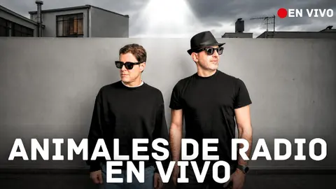 HABLEMOS DE IRON MAIDEN, LA REVENTA DE OASIS Y MÁS | ANIMALES DE RADIO SEÑAL EN VIVO 📻