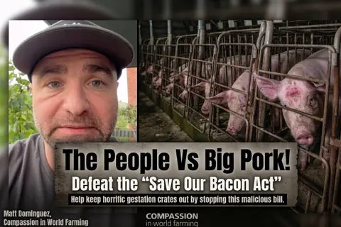 STOP The Save Our Bacon Act NOW!
